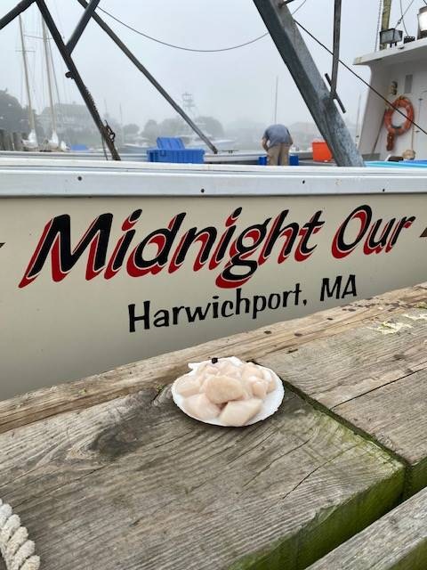 Midnight Our Seafood - Midnight Our Seafood