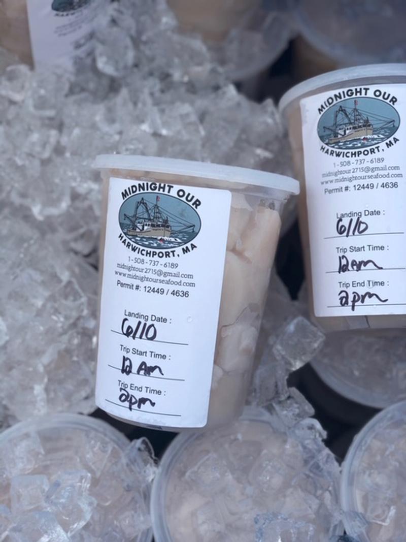 Frozen Seafood - Sea Scallops